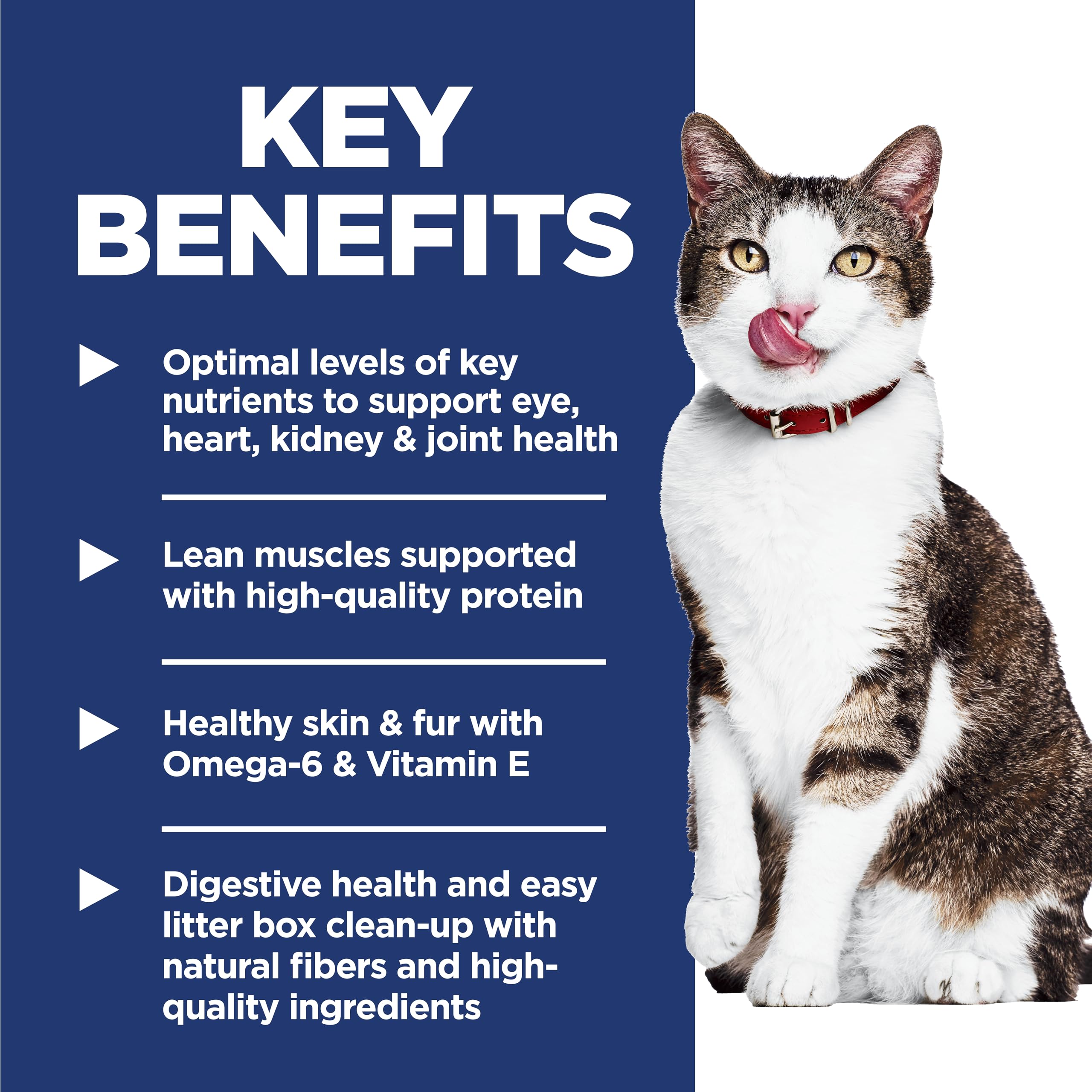 Hill's Science Diet proteína de alta calidad para músculos magros
