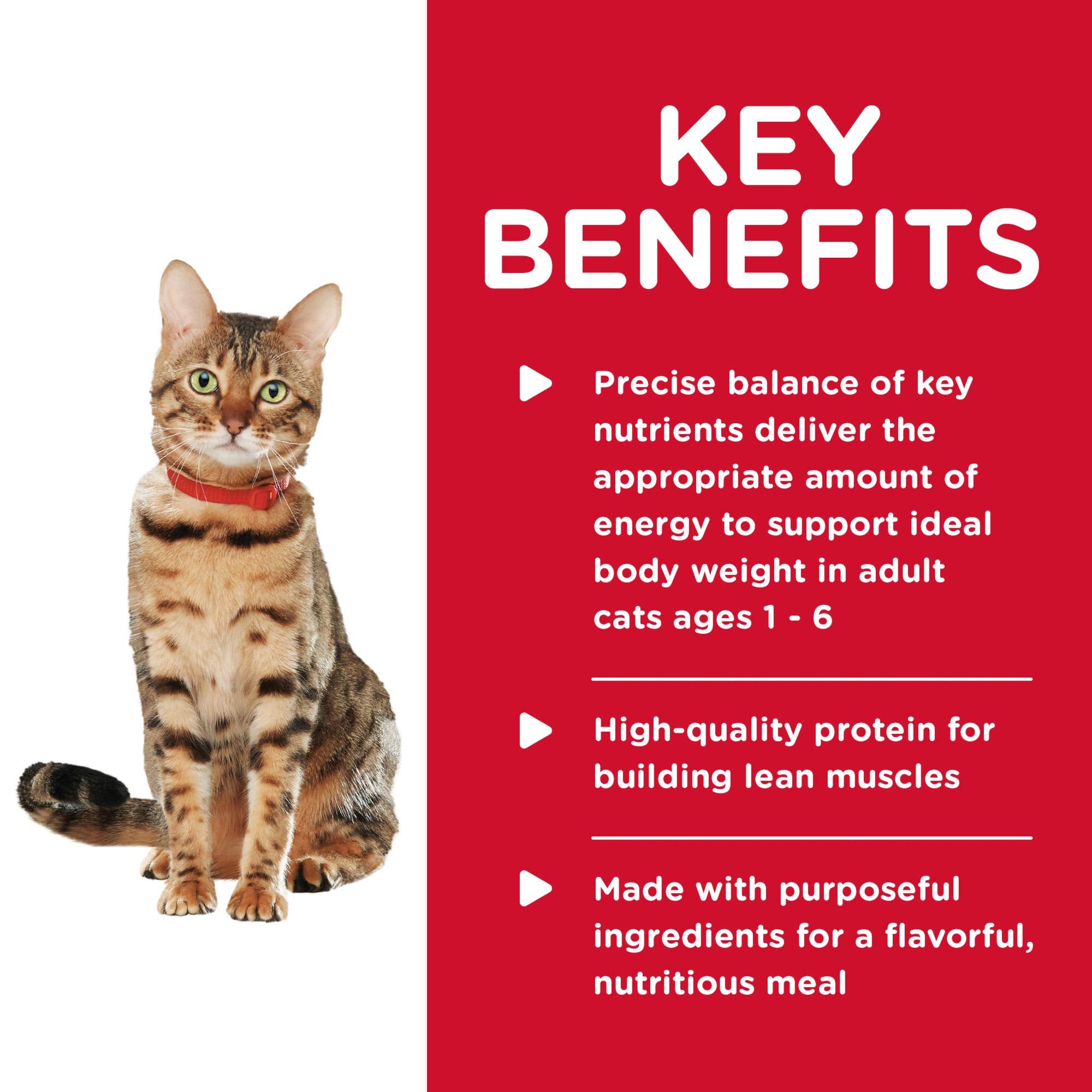 Hill's Science Diet proteína alta calidad para gatos, salmón y espinacas en lata