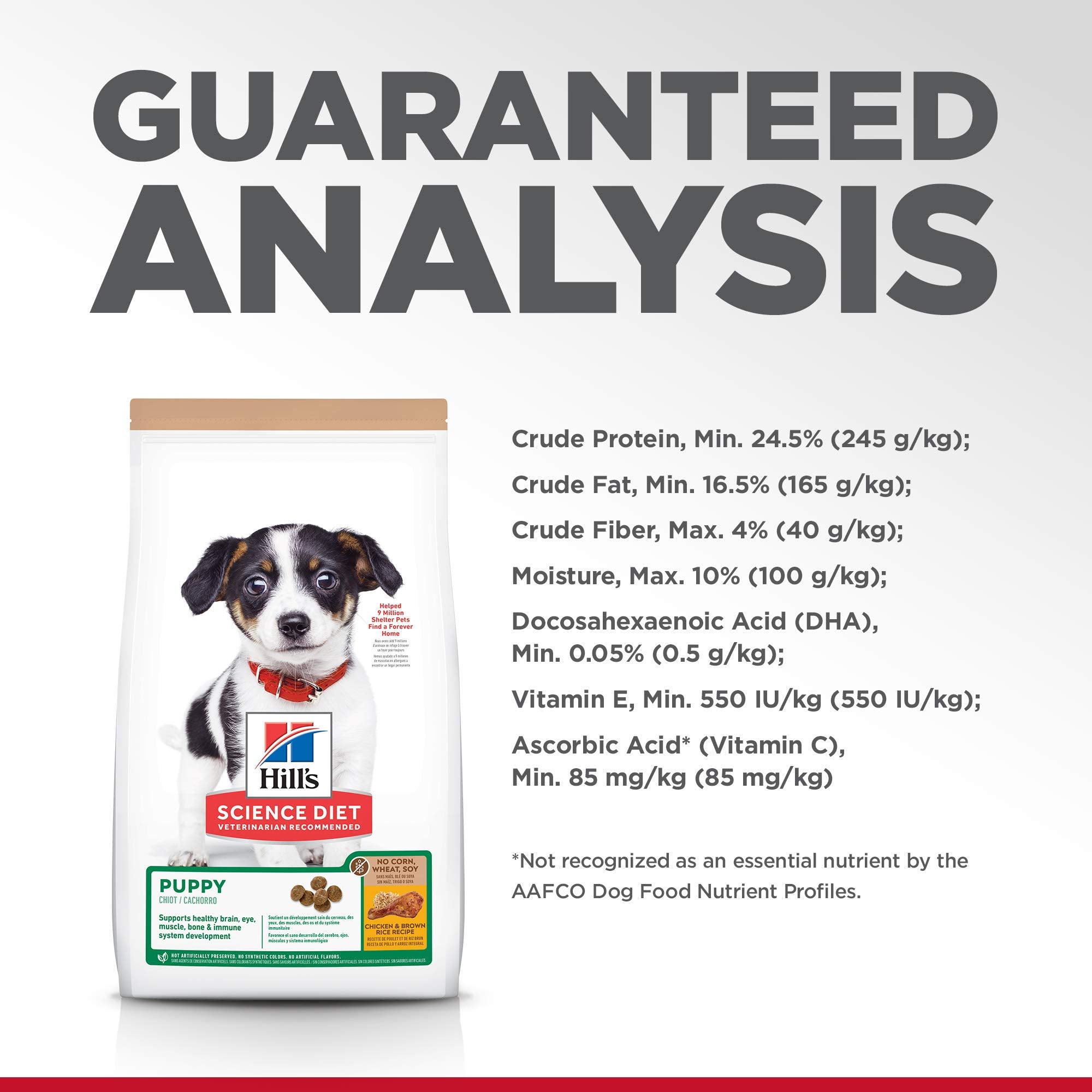 Hill's Science Diet Puppy recomendado por veterinarios para cachorros.