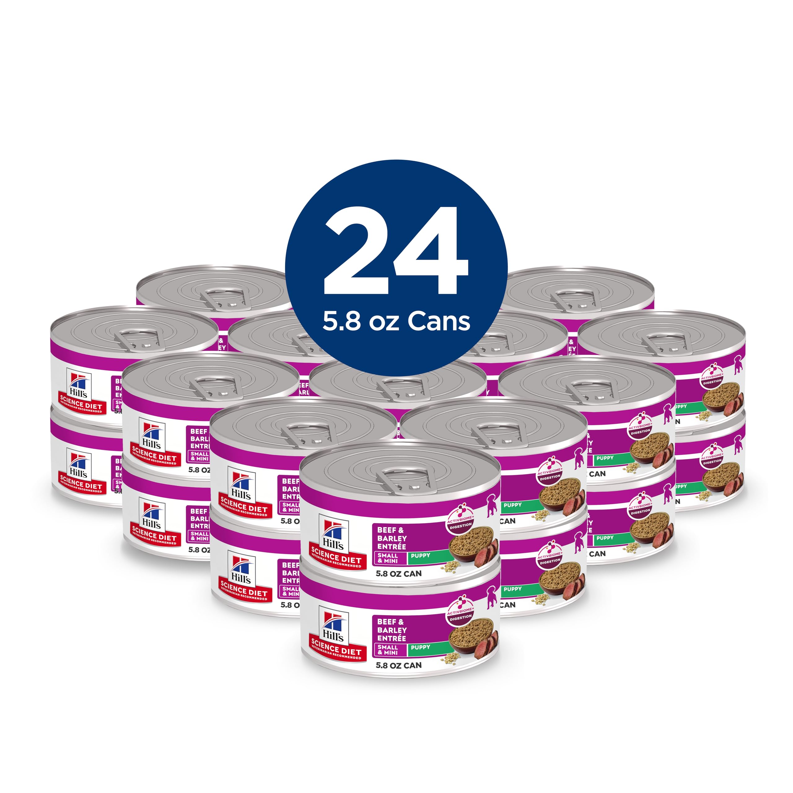 Hill's Science Diet Puppy Small & Mini Beef & Barley alimento para cachorros en plato.