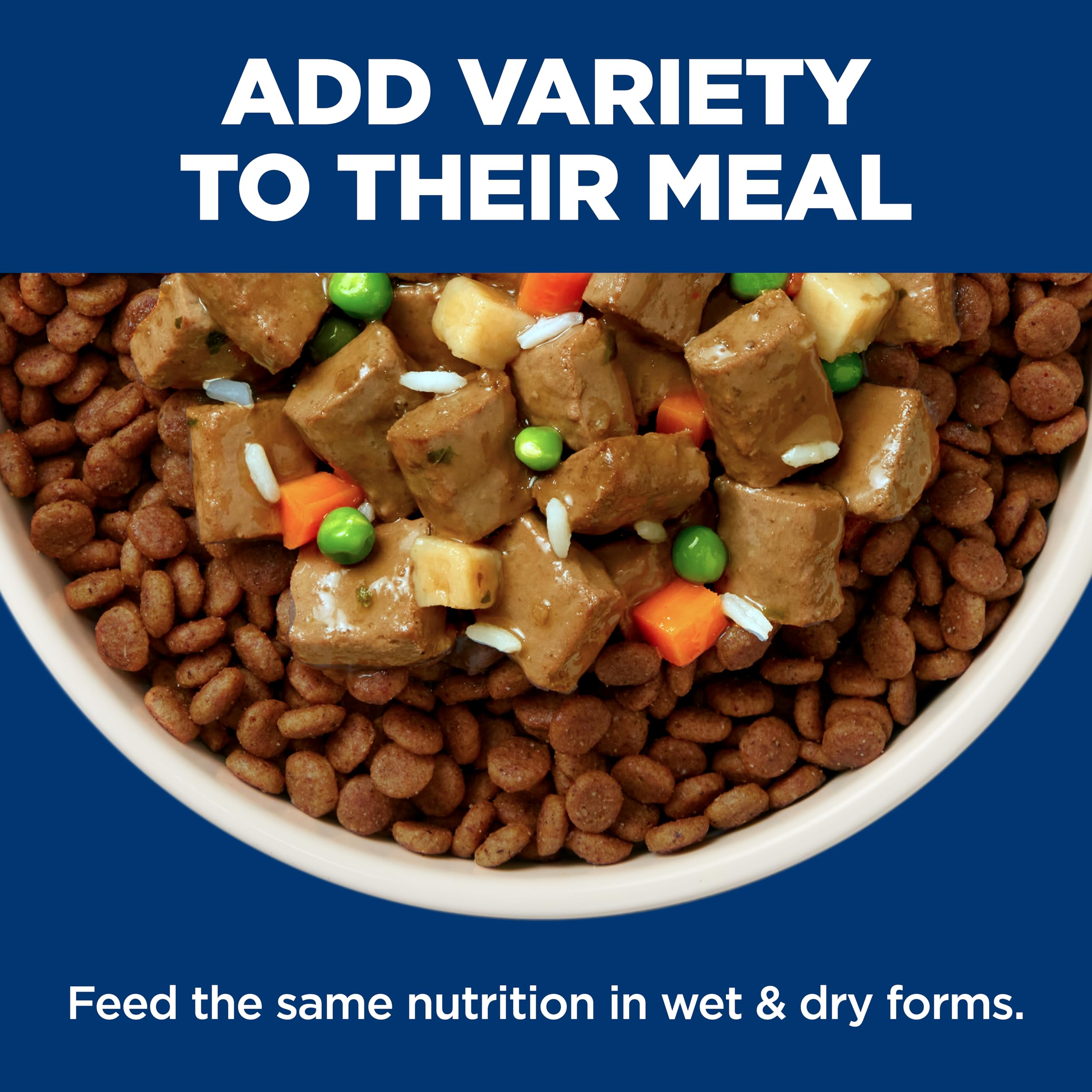 Hill's Science Diet Puppy Small & Mini Beef & Barley antioxidantes para inmunidad.