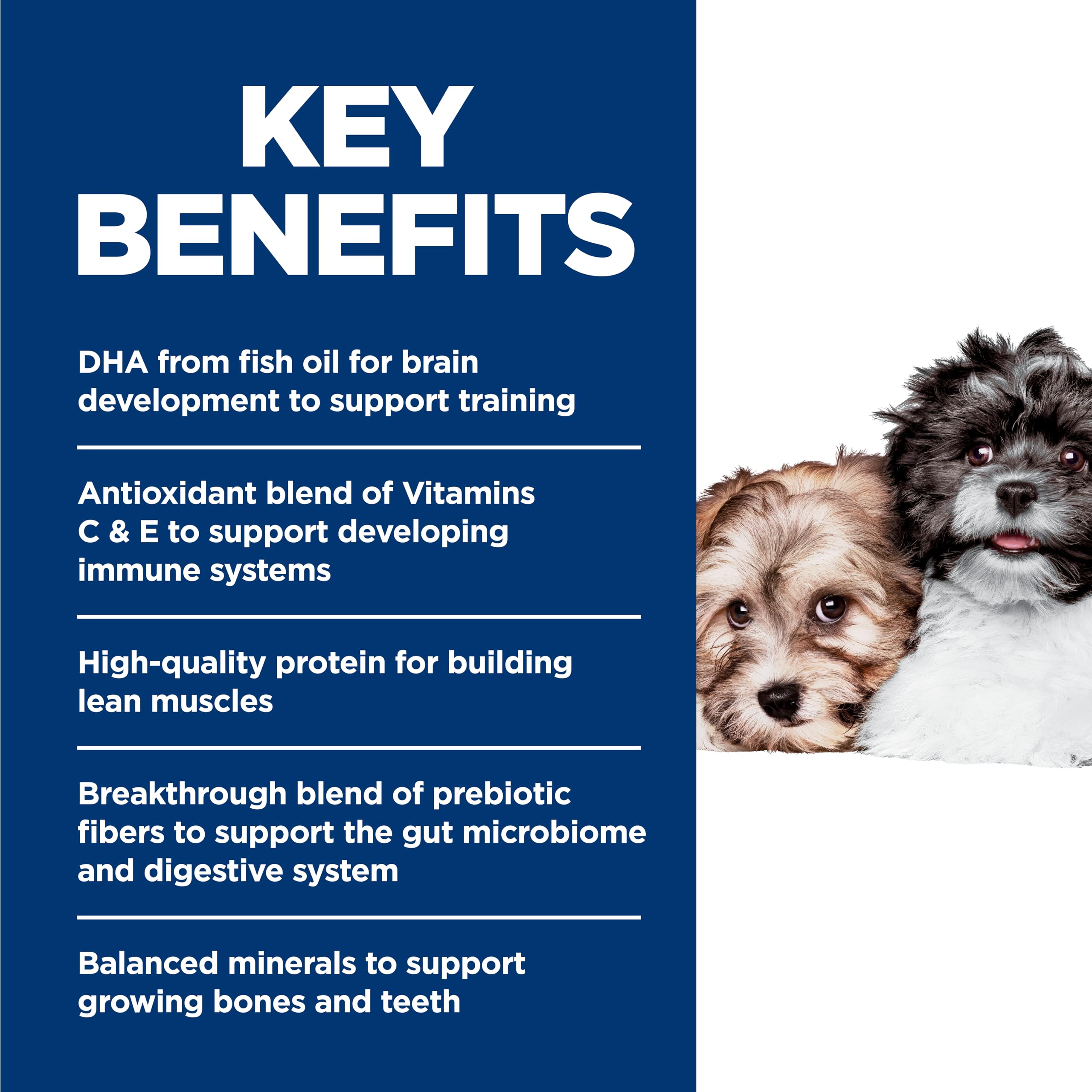 Hill's Science Diet Puppy Small & Mini Beef & Barley ingredientes naturales y vitaminas.
