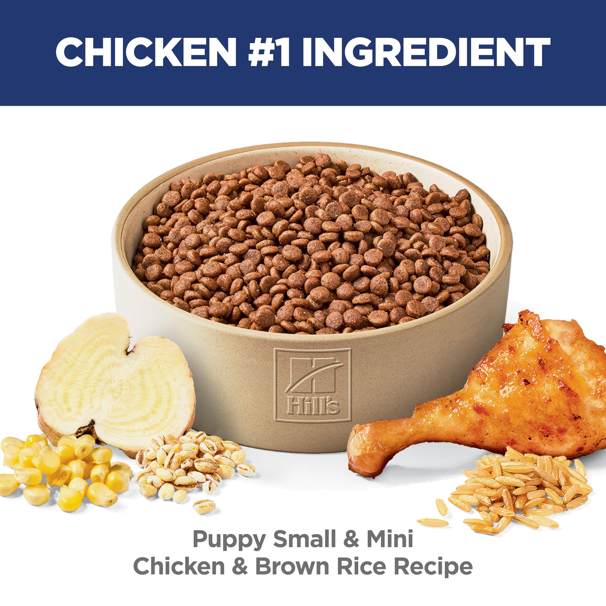 Hill's Science Diet Puppy Small & Mini, DHA y aceite de pescado, desarrollo cerebral y ocular