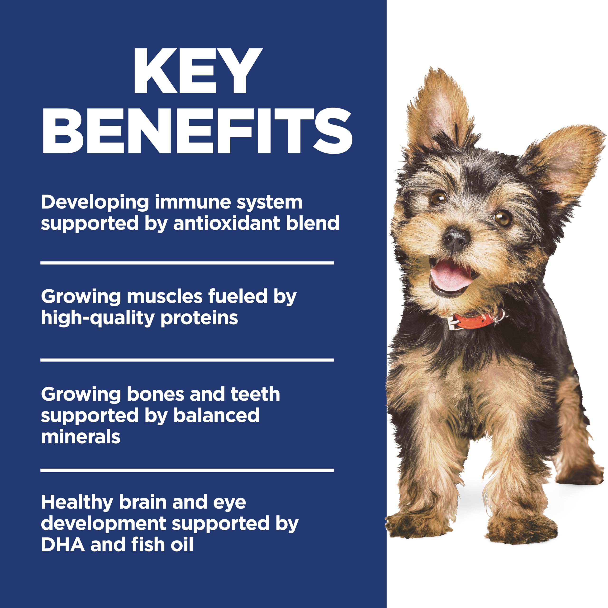 Hill's Science Diet Puppy Small & Mini, minerales equilibrados para huesos en crecimiento