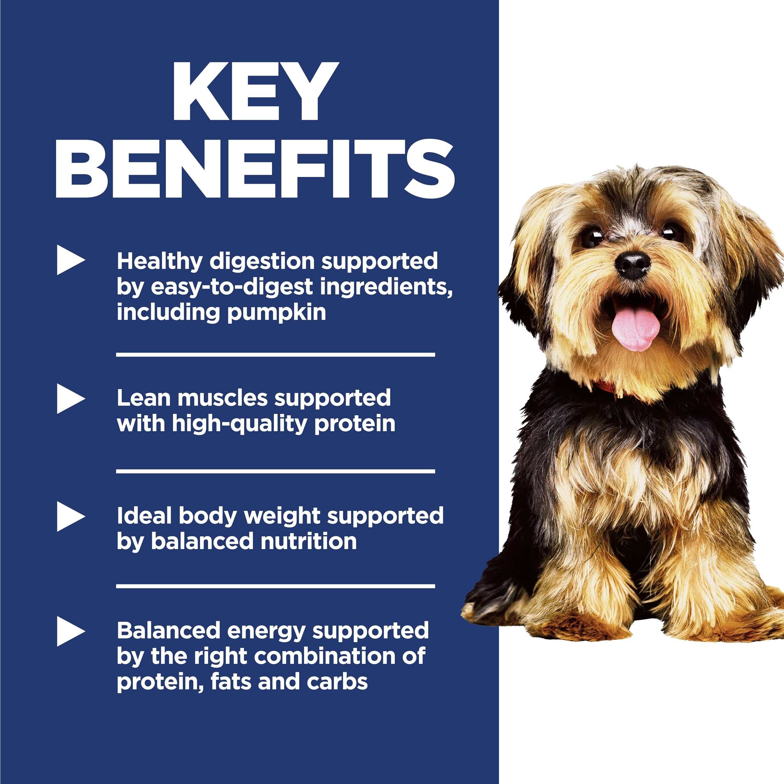 Hill's Science Diet Small & Mini, proteína de alta calidad para músculo magro en perros pequeños