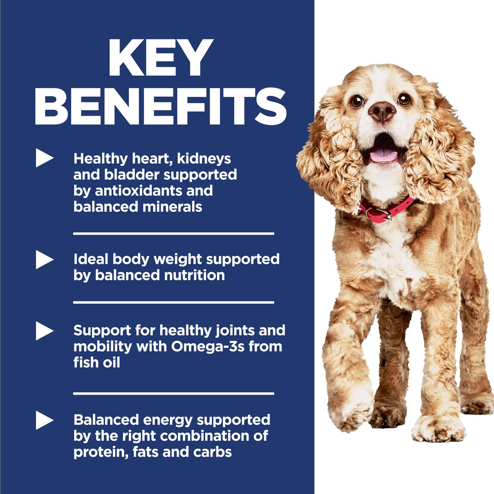 Kibble pequeño de Hill's para perros mini, facilita la ingesta diaria.