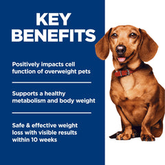 Hill's Science Diet etiqueta de ingredientes naturales, enfoque en nutrientes suaves.