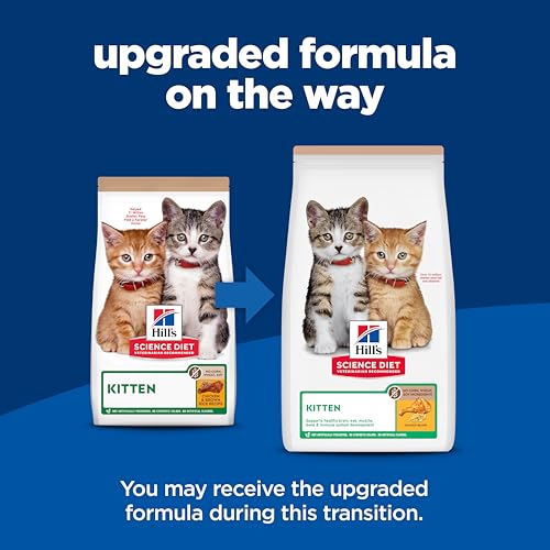 Hill's Science Diet Kitten, DHA de aceite de pescado para desarrollo cerebral y visual.