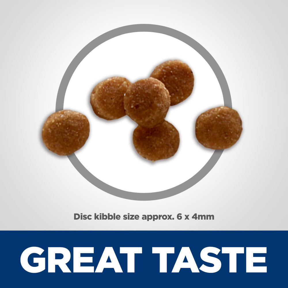Hill's Science Diet Kitten, proteína de alta calidad para crecimiento muscular y juego activo.
