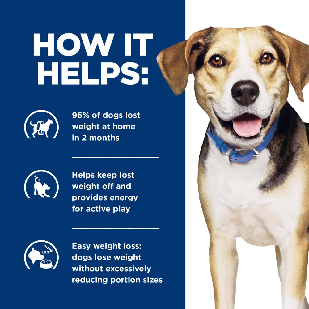 Hill's Metabolic consulta veterinario, confirma si es adecuado para tu perro.
