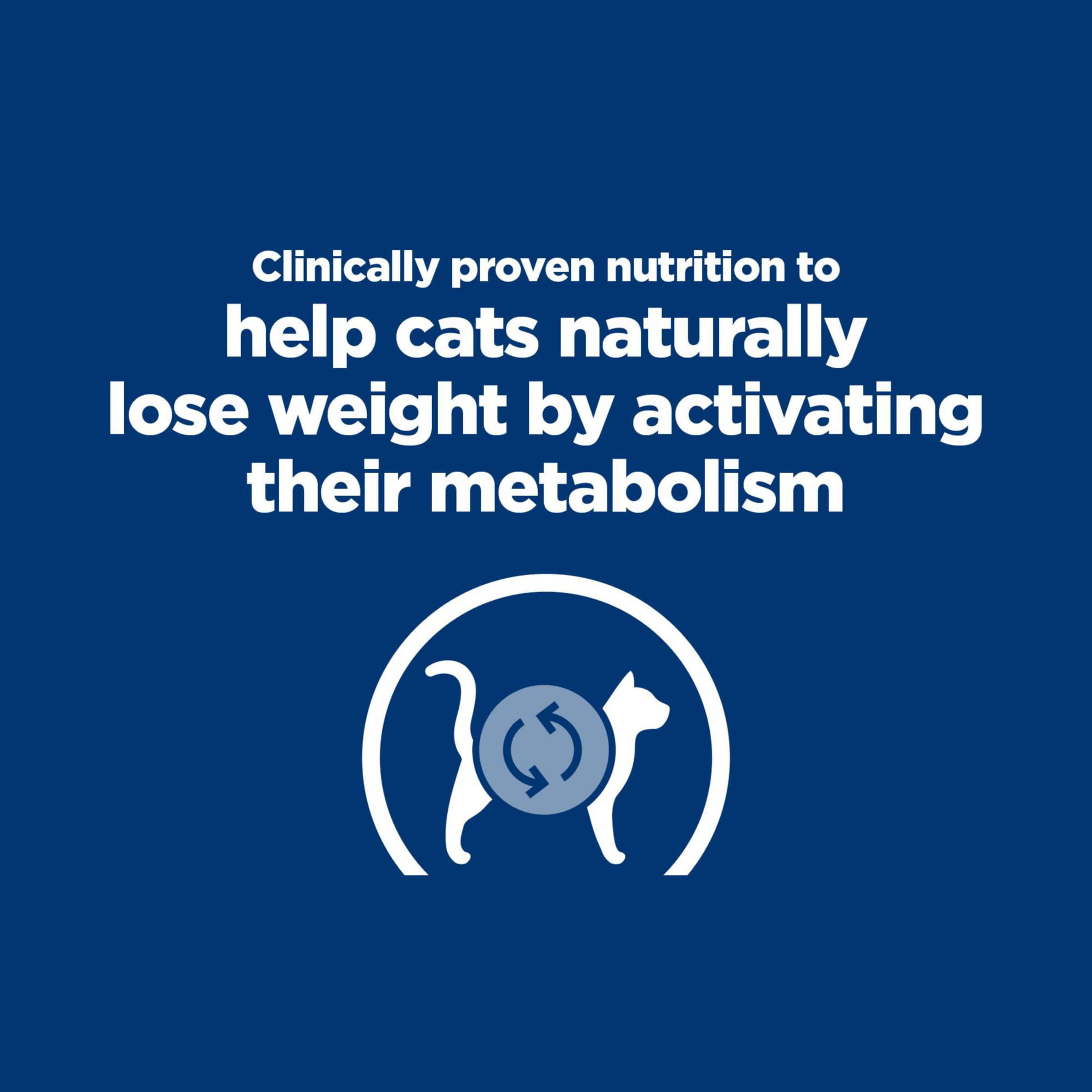 Plato servido con estofado de vegetales y pollo de Hill's Metabolic.