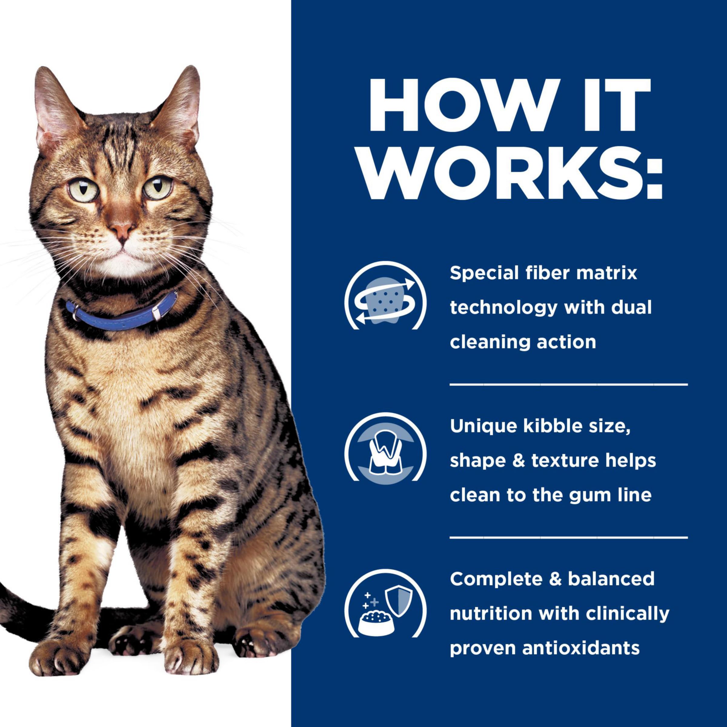 Recomendación veterinaria para uso a largo plazo de Hill's t/d