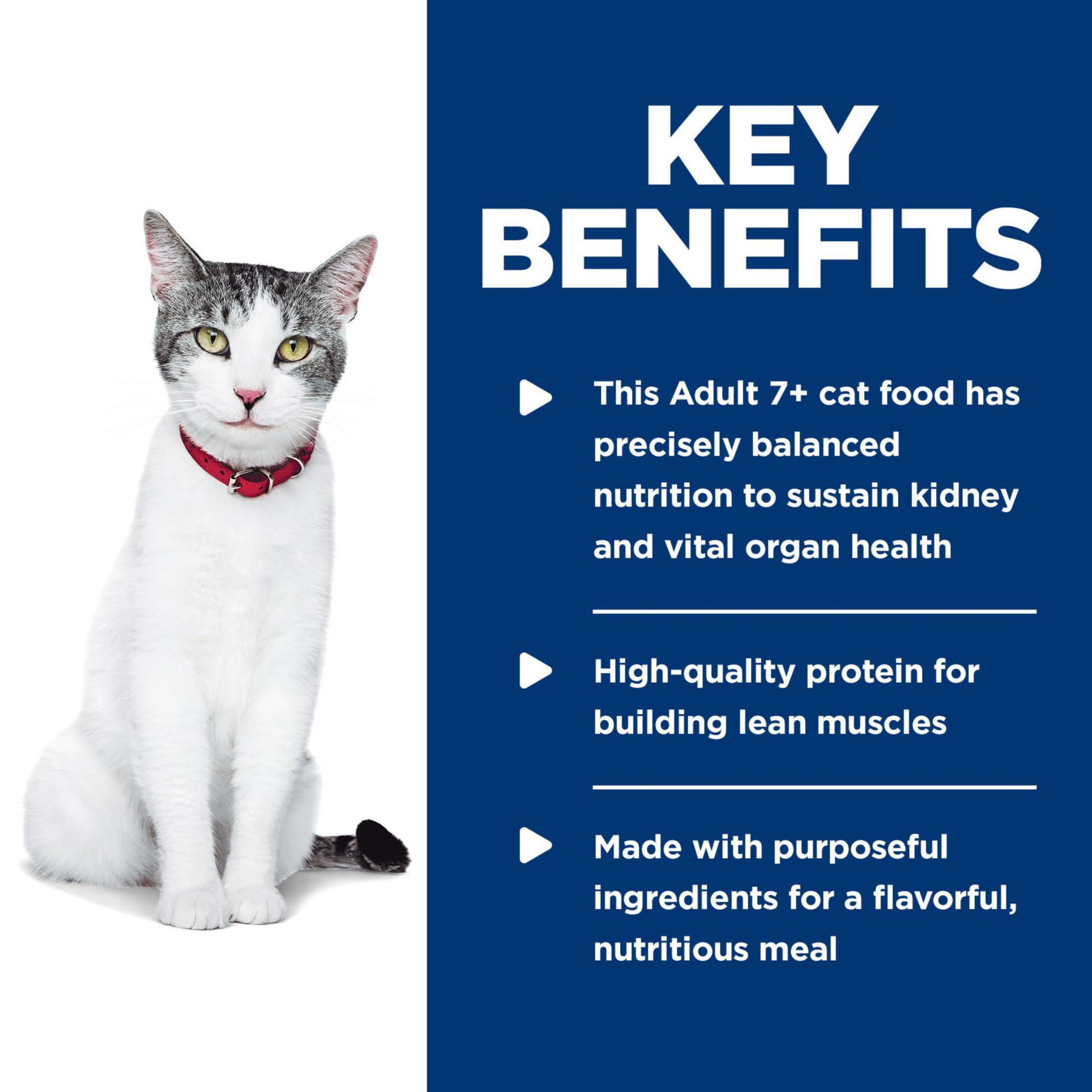 Hill's Science Diet Senior 11+ zanahoria tierna, textura atractiva