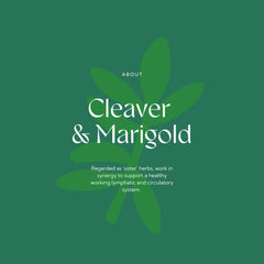 Hilton Herbs Cleavers Marigold: uso con vendas en establo para apoyo suave