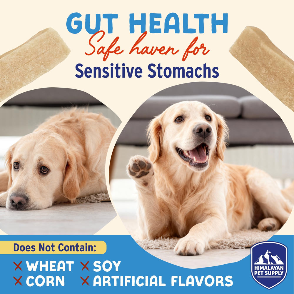 Cuidado de piel y pelaje gracias al coco y yogur de Himalayan Dog Chew.