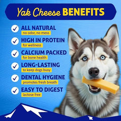 Himalayan Dog Chew: dureza de masticación para perros grandes, entretenimiento sostenido.