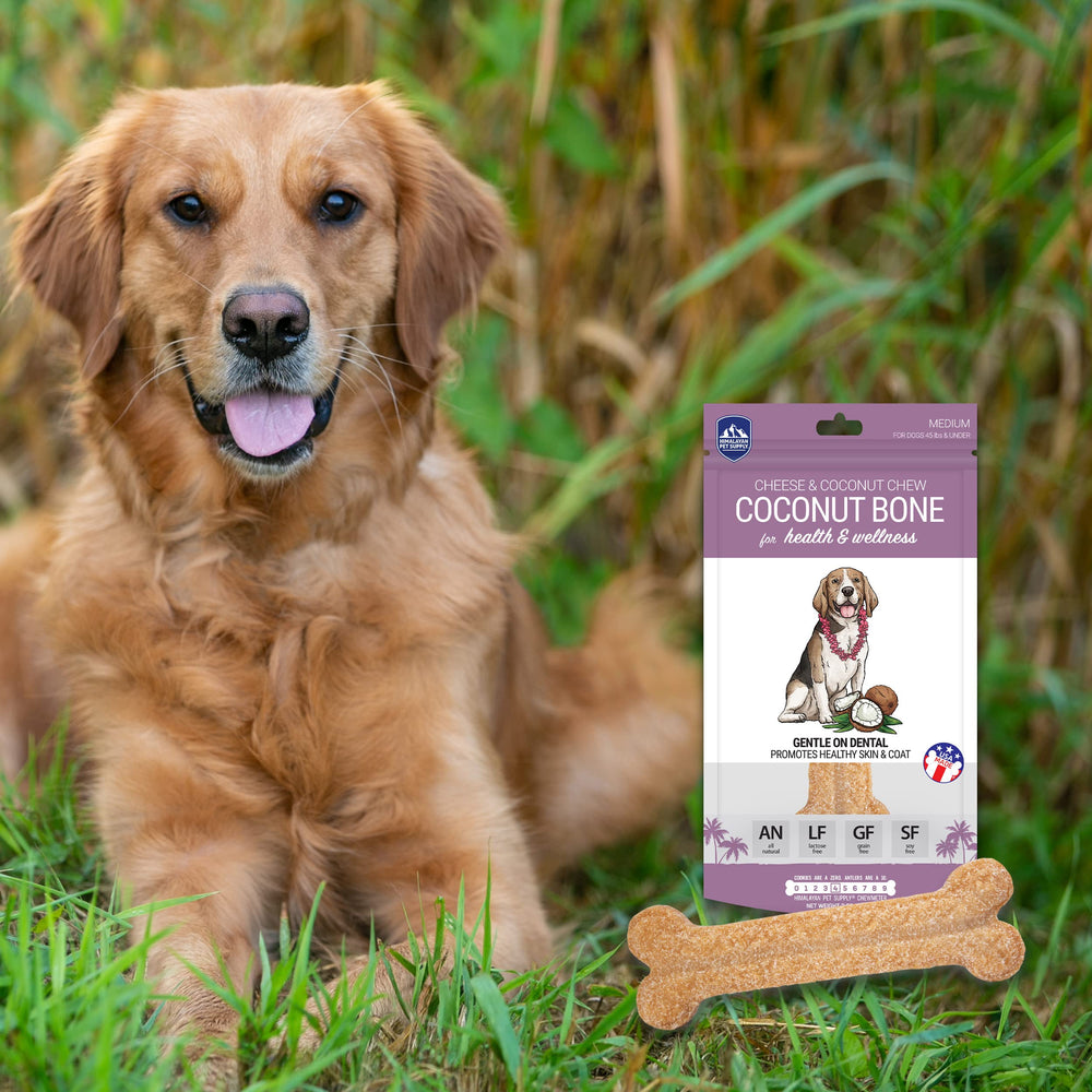 Himalayan Dog Chew sabor-exotico: experiencia de sabor única para perros curiosos.