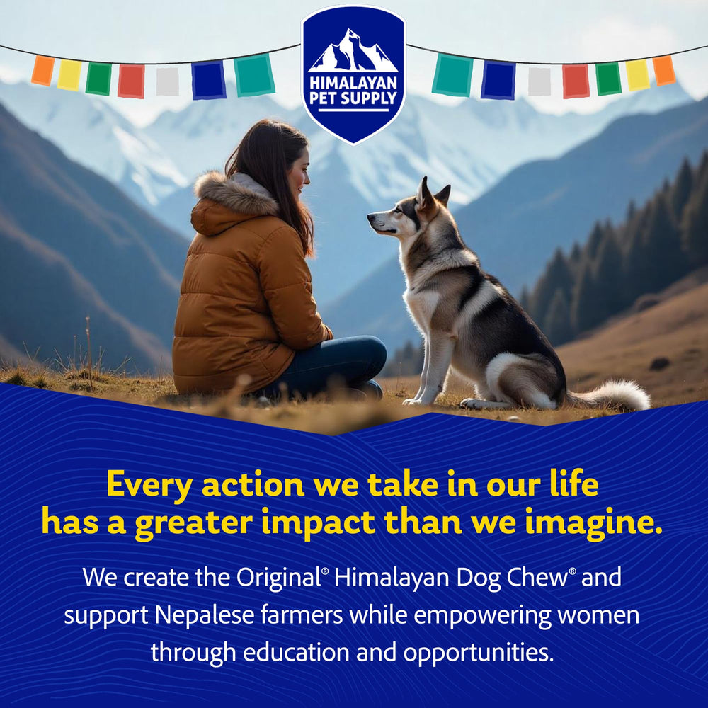 Himalayan Dog Chew Yak Cheese proceso artesanal y cuidado tradicional.