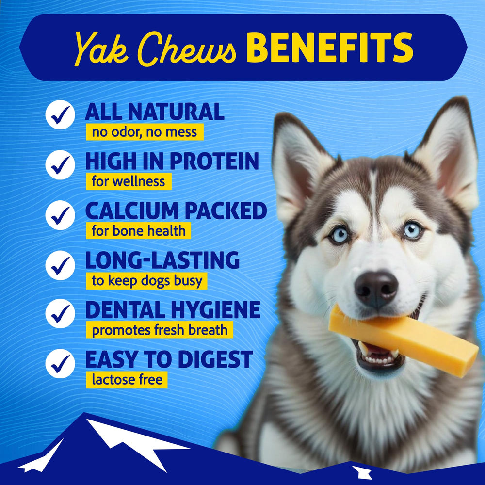 Himalayan Dog Chew Yak Cheese con textura dura, ideal para masticadores activos.