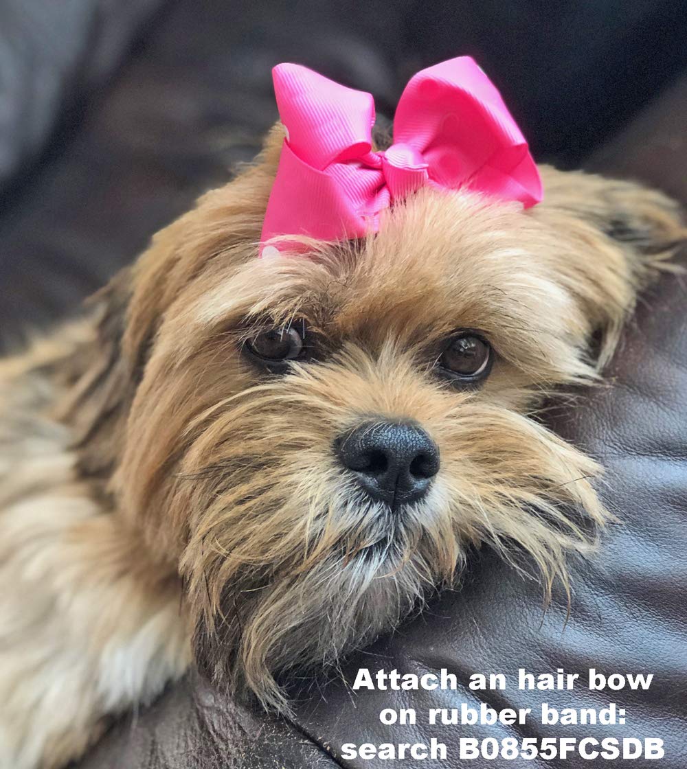 HipGirl banda elástica para top knots caninos, resistente y cómoda.
