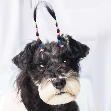 HipGirl bandas para peinado de gato y perro, versátiles.