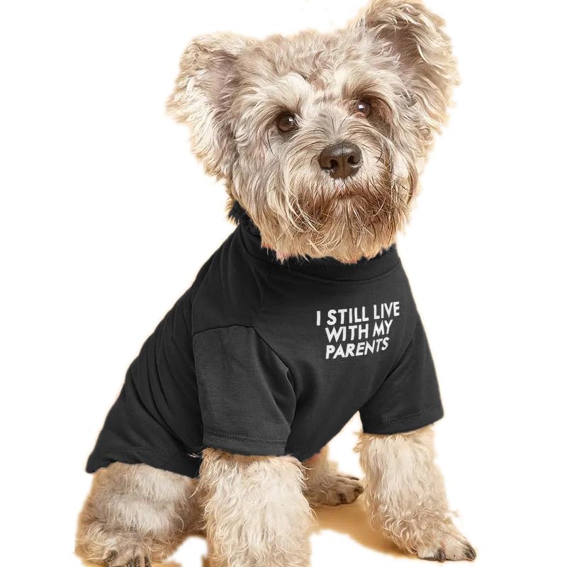 Camiseta para perro pequeño de HipGirl, suave y transpirable para paseos.