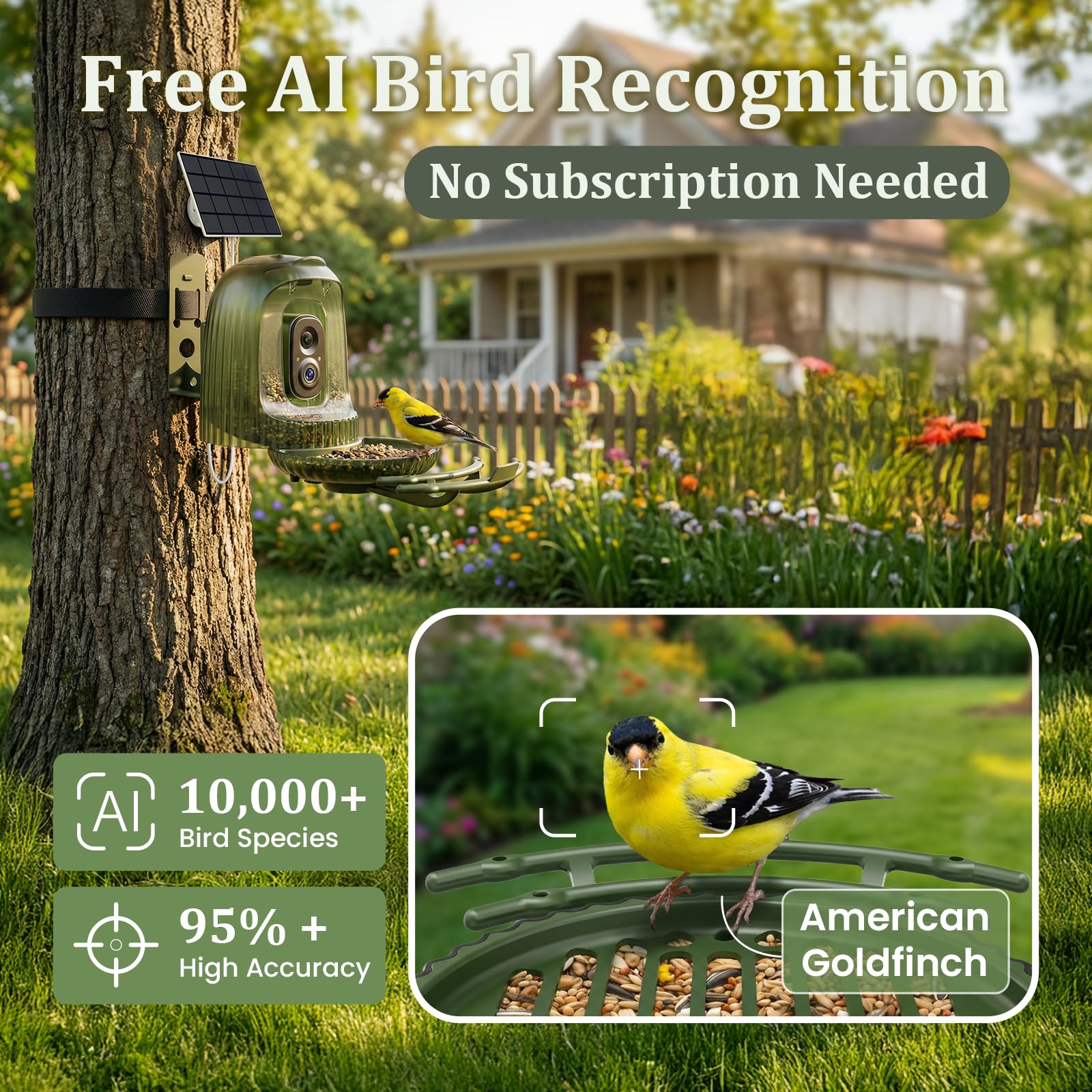 HIXX Identificación de Aves por IA, reconoce miles de especies en la app.