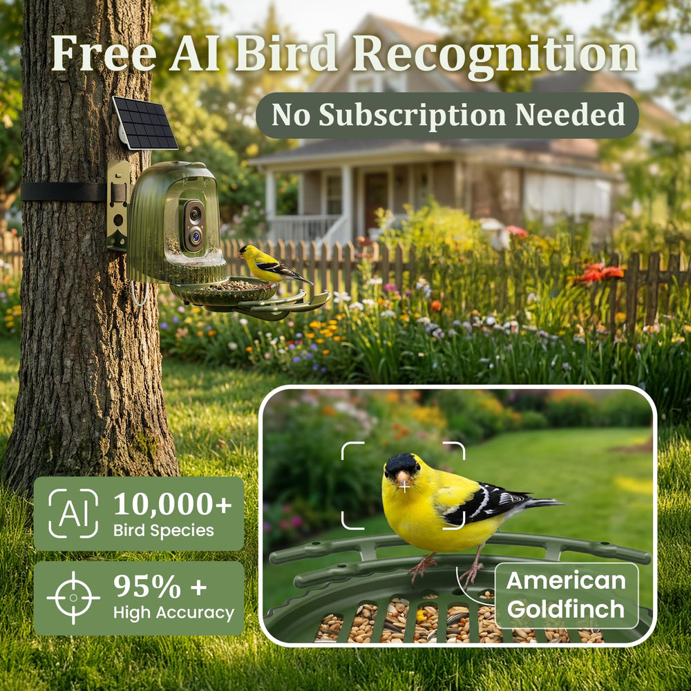 HIXX Identificación de Aves por IA, reconoce miles de especies en la app.