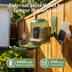 HIXX Alimentador de Aves, luz nocturna solar integrada para iluminación suave al atardecer.