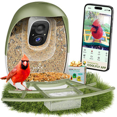HIXX comedero-pajaros-camara ofrece vista en vivo para observar aves