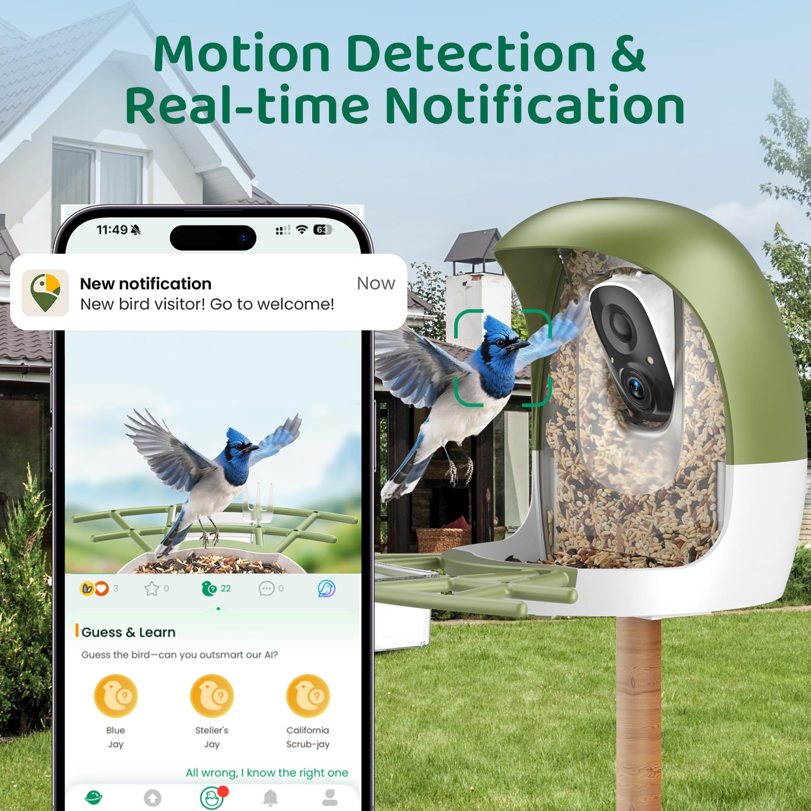 HIXX reconocimiento IA de aves facilita identificar especies al instante