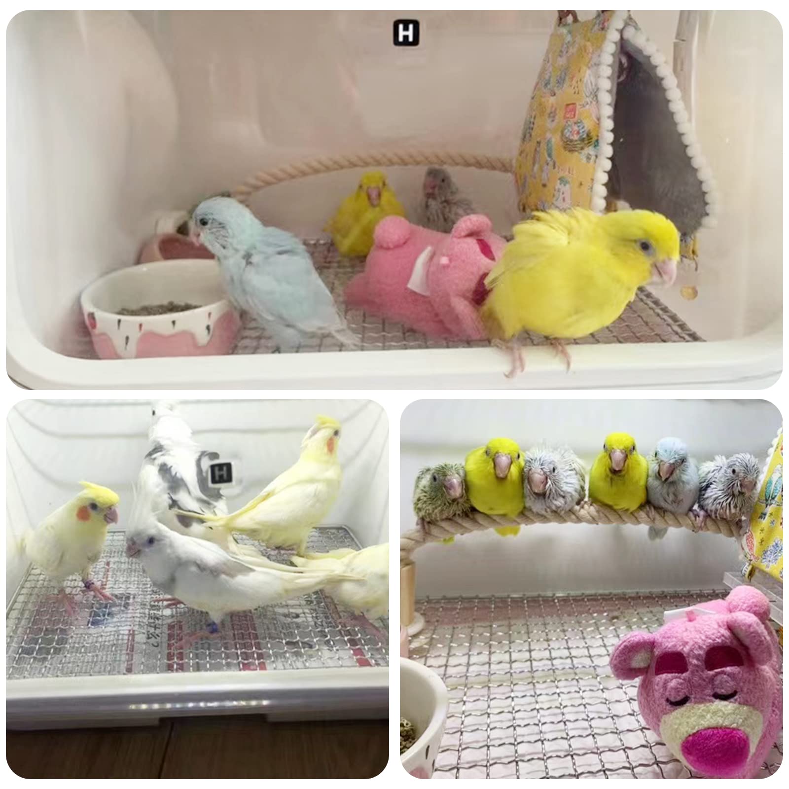 HKDQ incubadora de aves con chasis retráctil para transporte y limpieza.