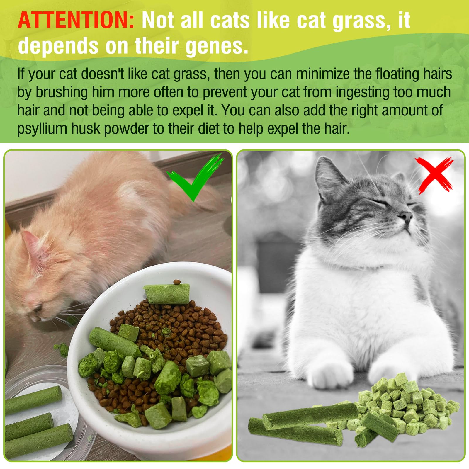 Cuidado dental para gatos con fibra vegetal HKpetie