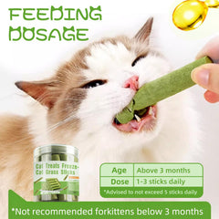 hkpetty snack para cuidado dental de gatos, ayuda a reducir placa de forma natural.