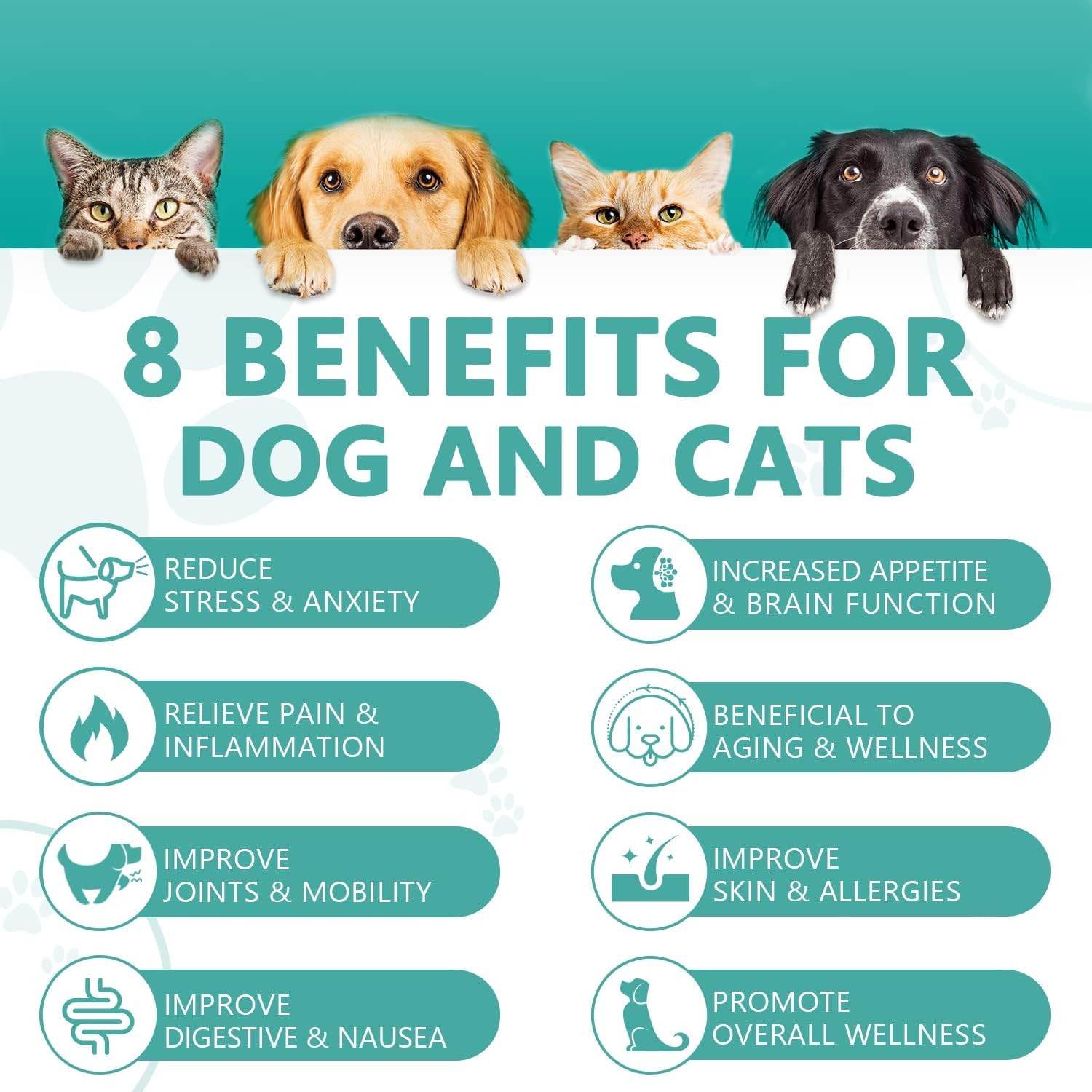 HMone aceite natural para mascotas, fácil de mezclar con comida.