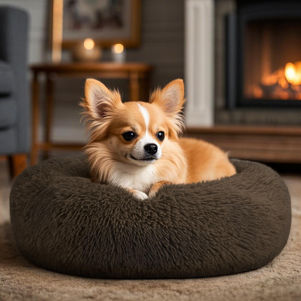 Hoewina cama para perros pequeños con base impermeable, protege del derrame y facilita la limpieza.