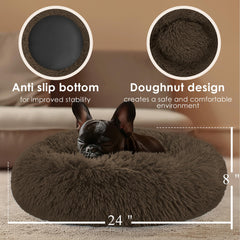 Hoewina cama para perros pequeños, lavable a mano, fácil de limpiar después de juegos activos.