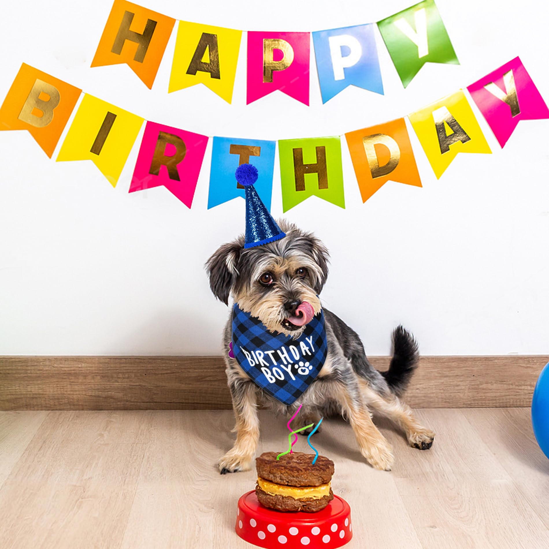 Hoewina kit de fiesta para perros, conjunto completo para celebrar.