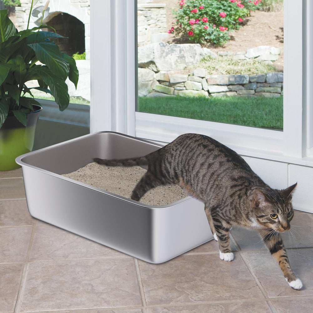 Holintan caja de arena en acero inoxidable, diseñada para minimizar olores en casa.