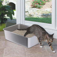 Holintan caja de arena en acero inoxidable, diseñada para minimizar olores en casa.