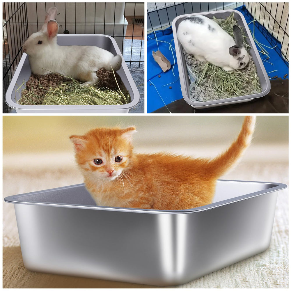Holintan caja de arena para conejos y roedores seguros.