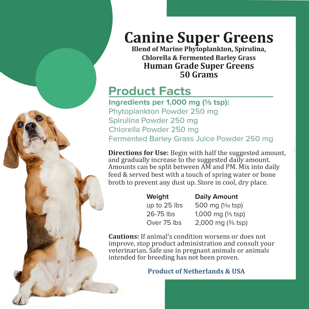 Holistic Bin Chien Poudre Phytoplancton Marin: nutriments et vitalité
