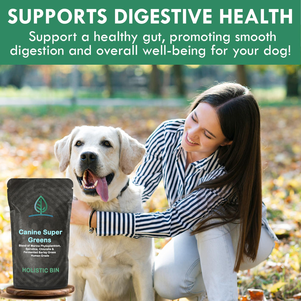 Holistic Bin Chien Poudre Sans Additifs Artificiels: produit naturel et sûr