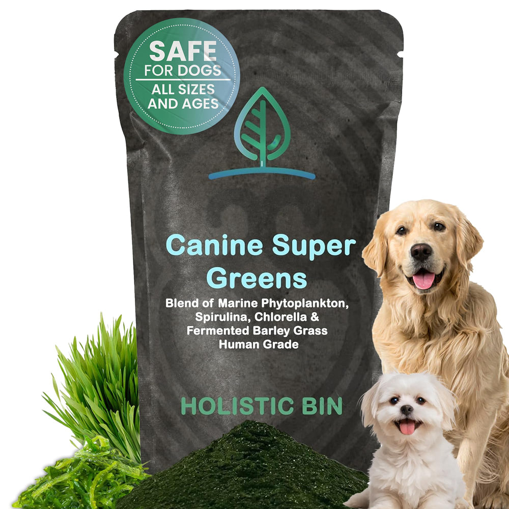 Holistic Bin Chien Poudre Vertes Algues: digestion facilitée et appétit amélioré