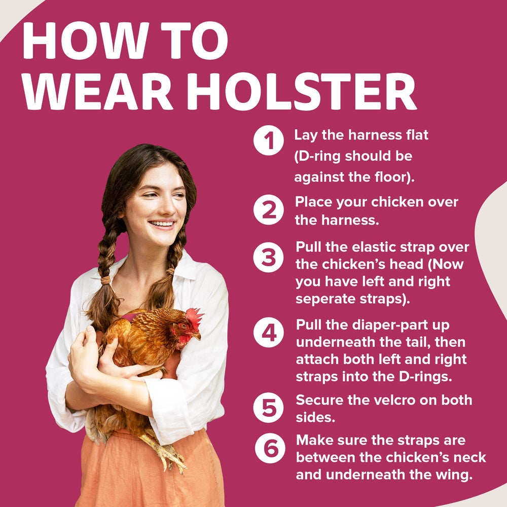 Holster Pañal Gallina Colores Variados: expresa la personalidad de tu ave.