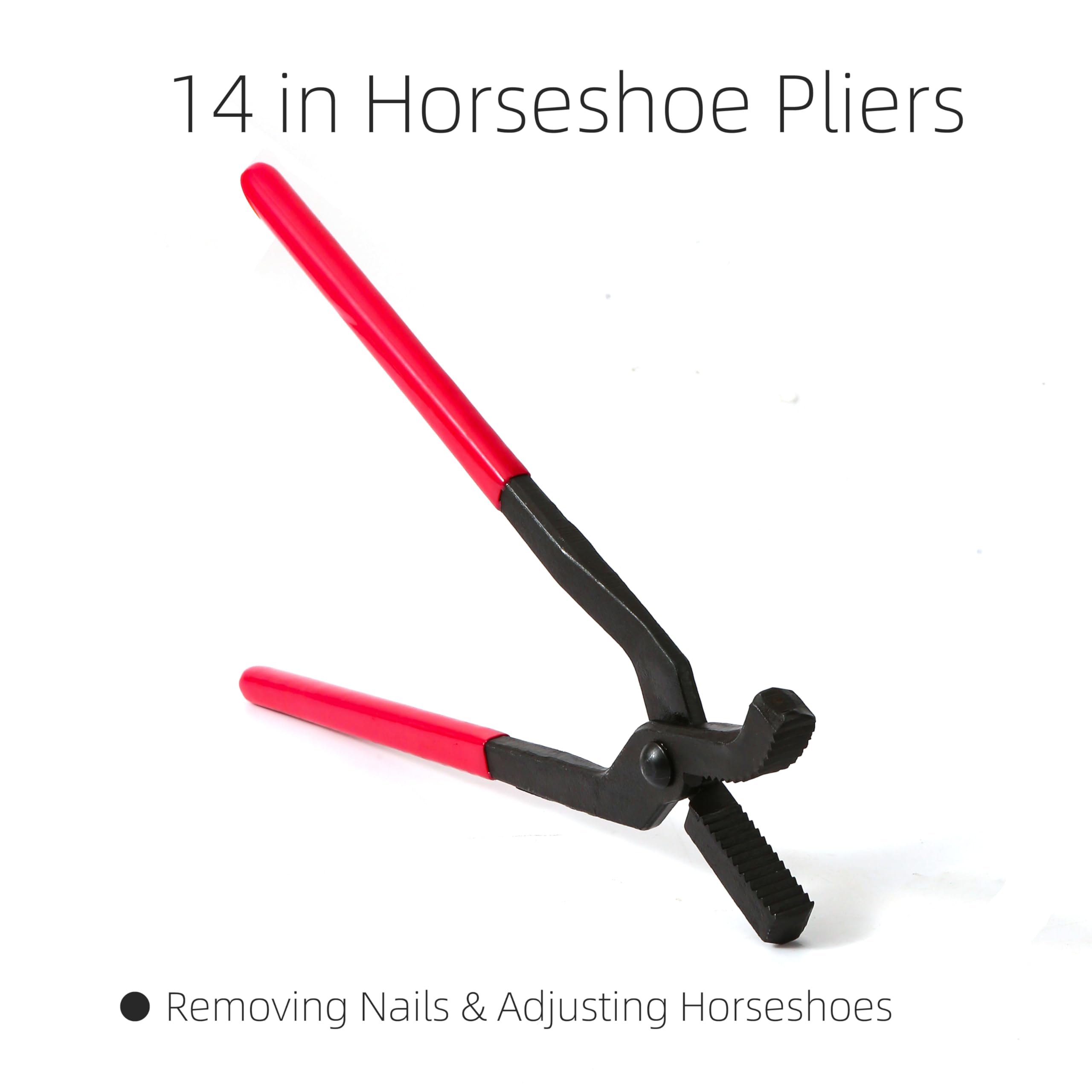 Homcare pinzas para herrar caballos, ajuste seguro de herraduras.