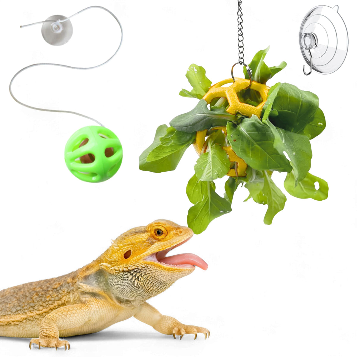Homedy Crafts bola alimentadora para dragón barbudo facilita ingerir vegetales.