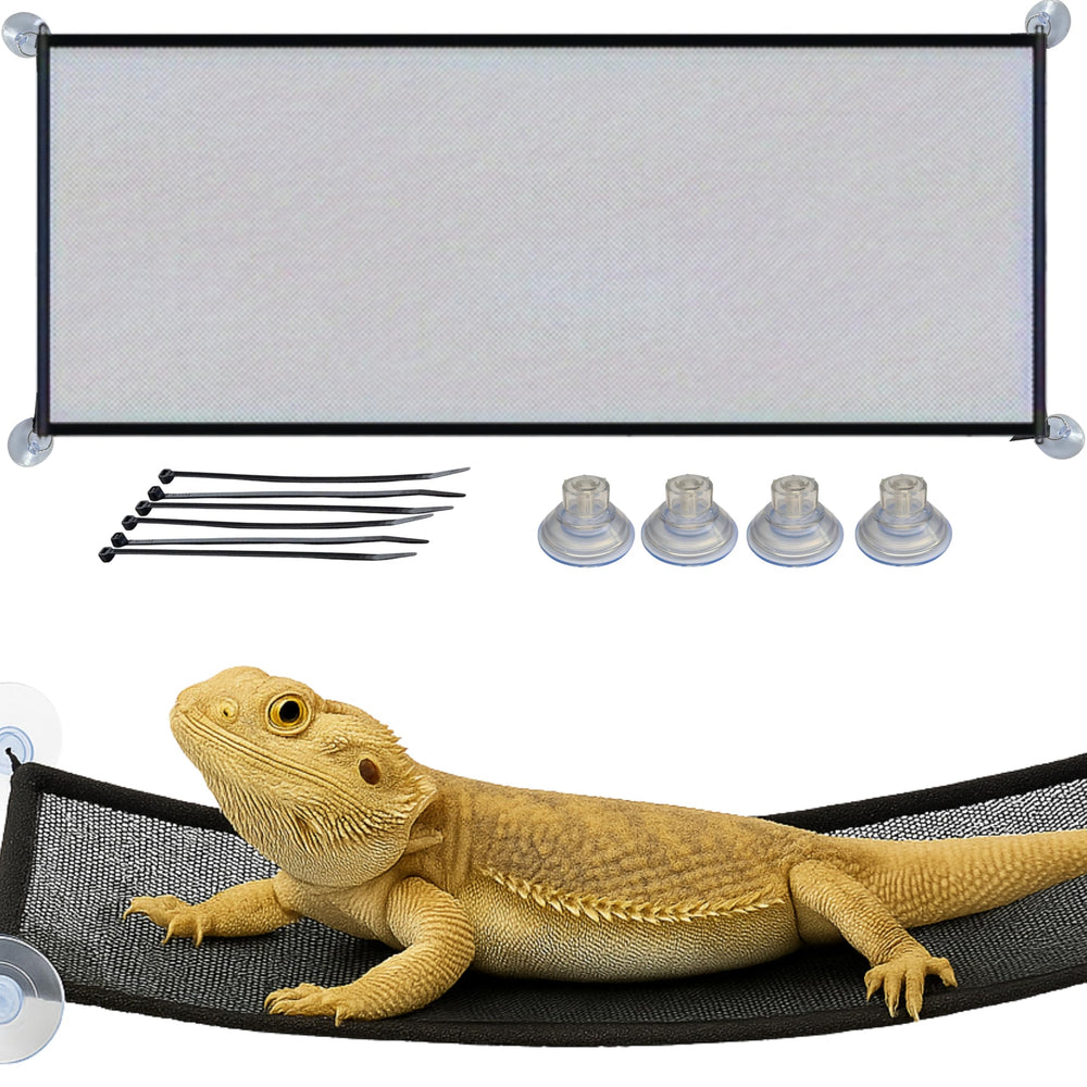 Homedy Crafts hamaca dragón barbudo grande dentro del tanque, descanso cómodo bajo la luz de calor.