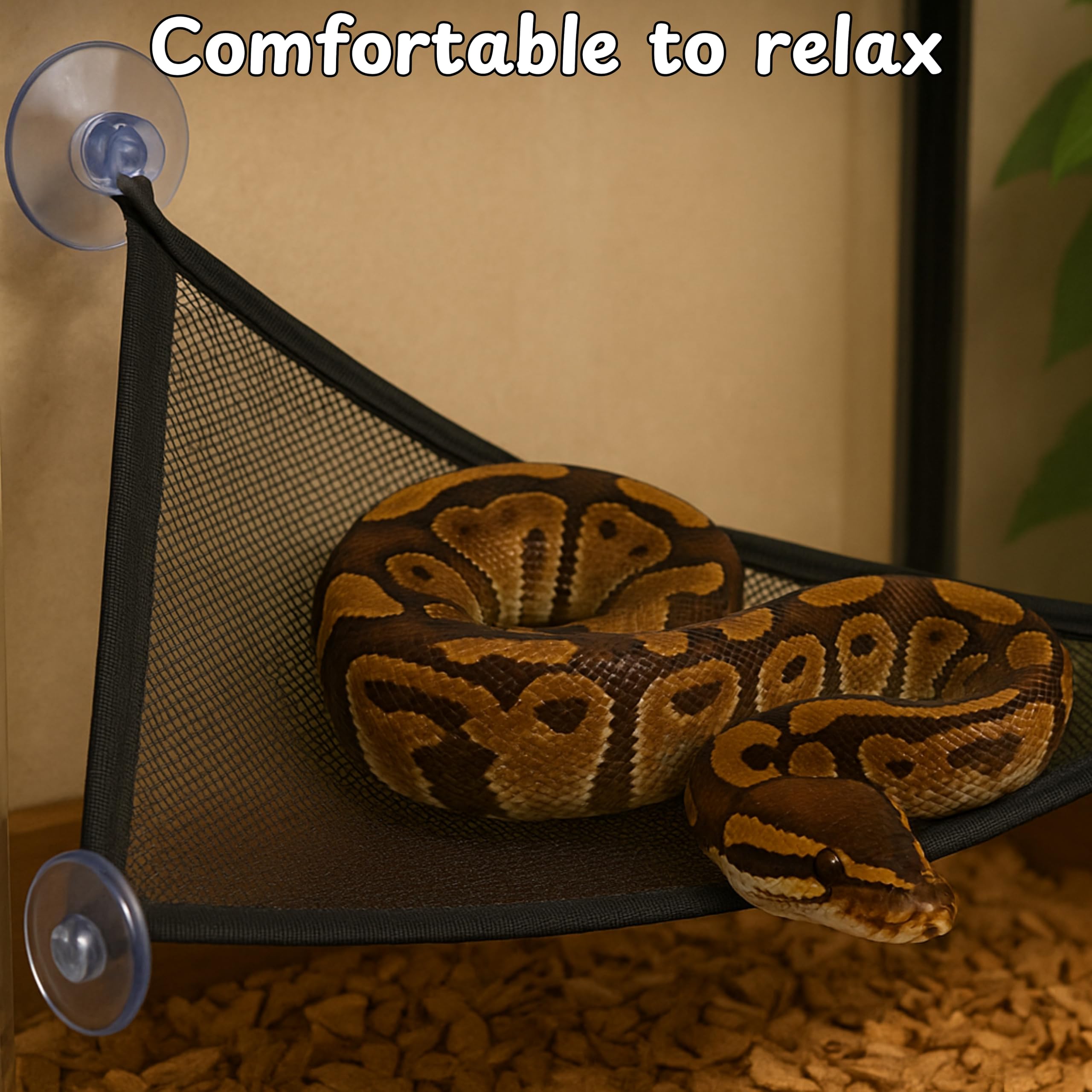 Homedy Crafts ventosas-fijacion-serpiente-tanque, fijación estable en superficies lisas.
