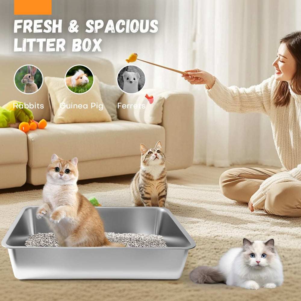 Homegroove caja de arena con superficie lisa, fácil limpieza y seguridad para patas.
